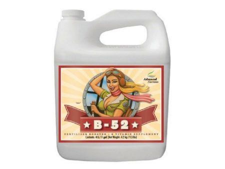 Advanced Nutrients B-52 Vitamin Additive - 1L Sale