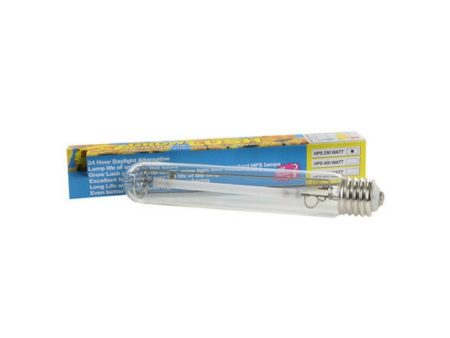 GL HPS 250W Lamp Bulb - 2100K Online Sale