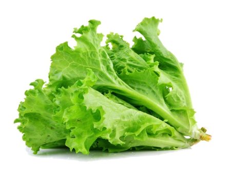 Smart Garden Lettuce Seeds Cheap