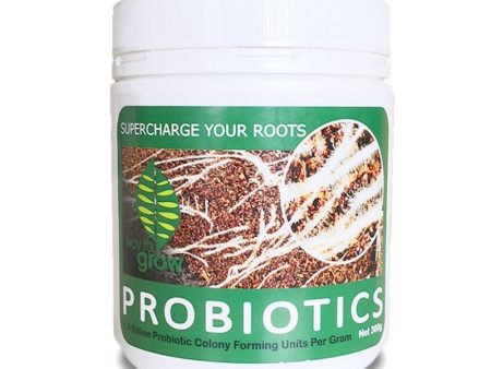 W2G Probiotics - 300g Online