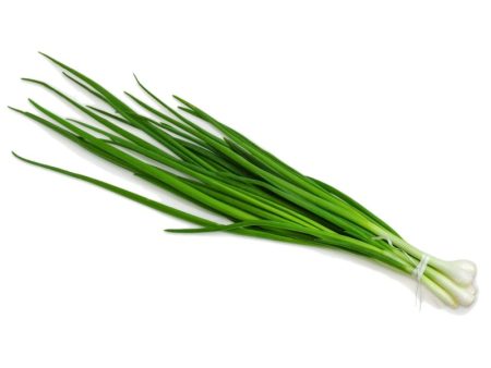 Smart Garden Garlic Chive Seeds Online now