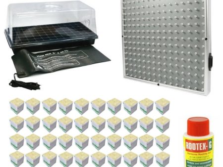 Propagation Kit With LED Grow Light - For Seeds + Smaller Plants For Sale