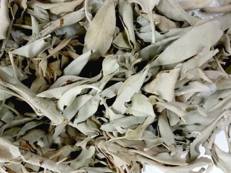 Loose White Sage - 50 grams Cheap