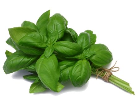 Smart Garden Basil Seeds Sale