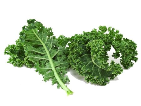 Smart Garden Kale Seeds on Sale