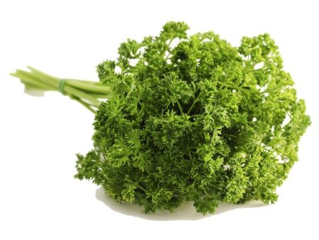 Smart Garden Parsley Seeds Online Sale